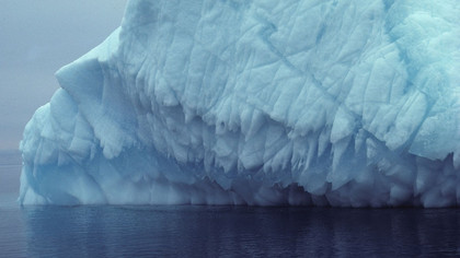 Iceberg