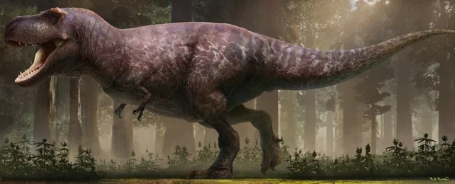 We May Finally Know Why Dinosaurs Like T. Rex Had Such Tiny Arms