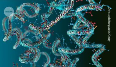 the mysterious ‘dark’ proteins that might play a big role in biology