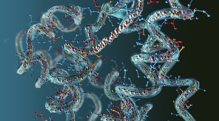 A 3D illustration showing chains of protein molecules.