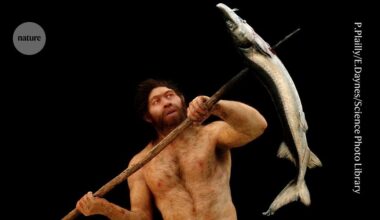 Did Homo erectus and Denisovans mate? Tooth proteins hint at ancient trysts
