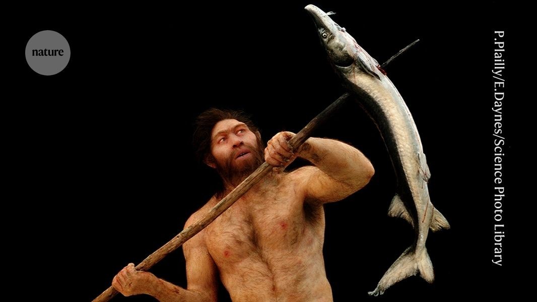 Did Homo erectus and Denisovans mate? Tooth proteins hint at ancient trysts