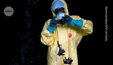 Ebola outbreak spirals out of control: how might it have started?