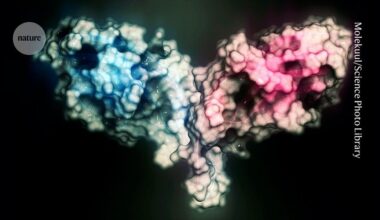 Move over, AlphaFold: open source model predicts shape of 1 billion proteins