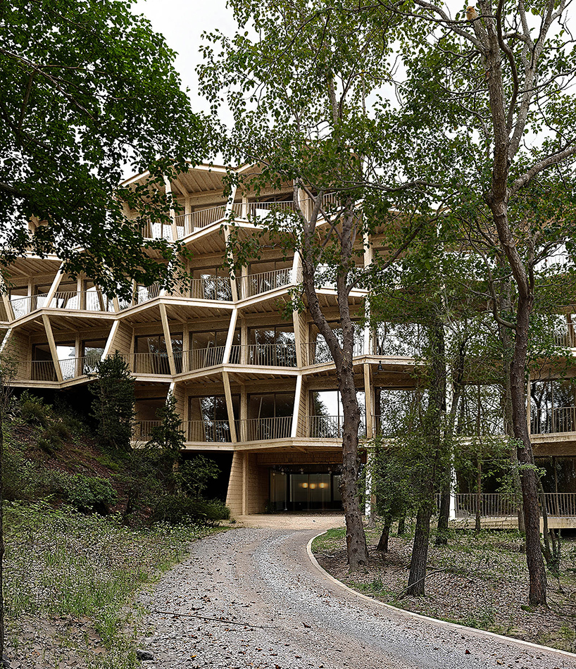 fragmented timber volumes compose forested mountain housing by arup in albania - 4
