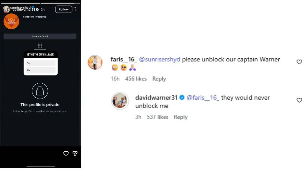 David Warner's Instagram reply David Warner's Instagram reply