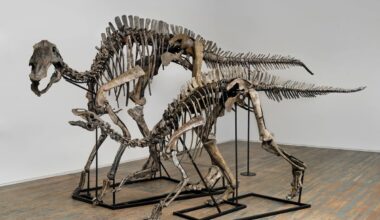 Dinosaurs roam New York’s Bowery - The Art Newspaper