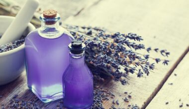 Nature in a Bottle: How Essential Oils Are Powering a Greener, Sustainable Future