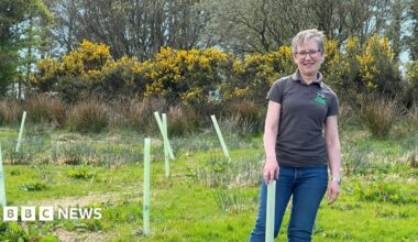 A woman in a grey t-shirt and blue jeans is smiling at the camera. She is standing in a grassy field and there are plastic tubes sticking up from the ground which are acting as shoots for the planted trees to grow through.