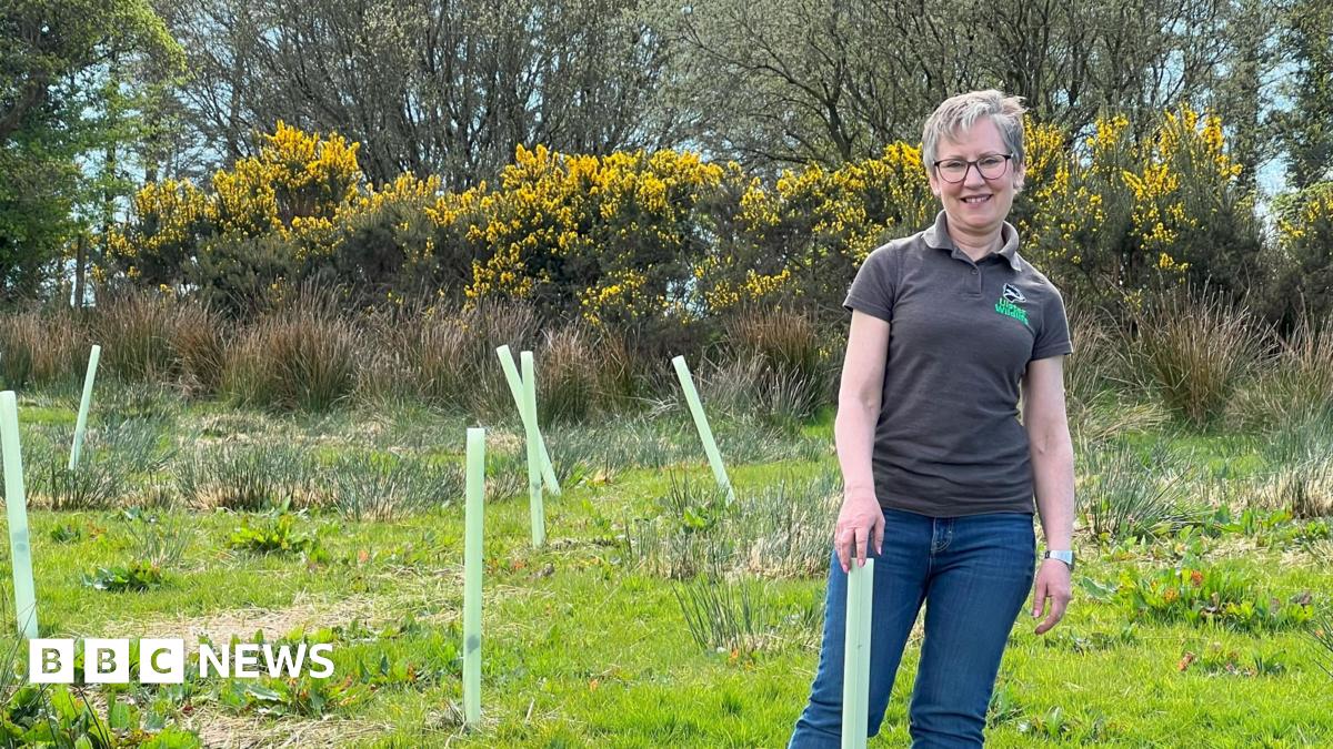 A woman in a grey t-shirt and blue jeans is smiling at the camera. She is standing in a grassy field and there are plastic tubes sticking up from the ground which are acting as shoots for the planted trees to grow through.