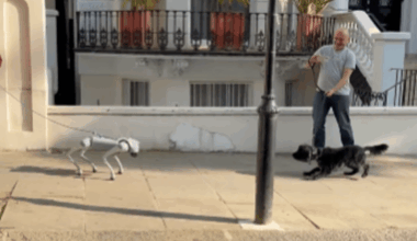 Moment real dog gets confused by AI robot pooch as they come face-to-face in Holland Park