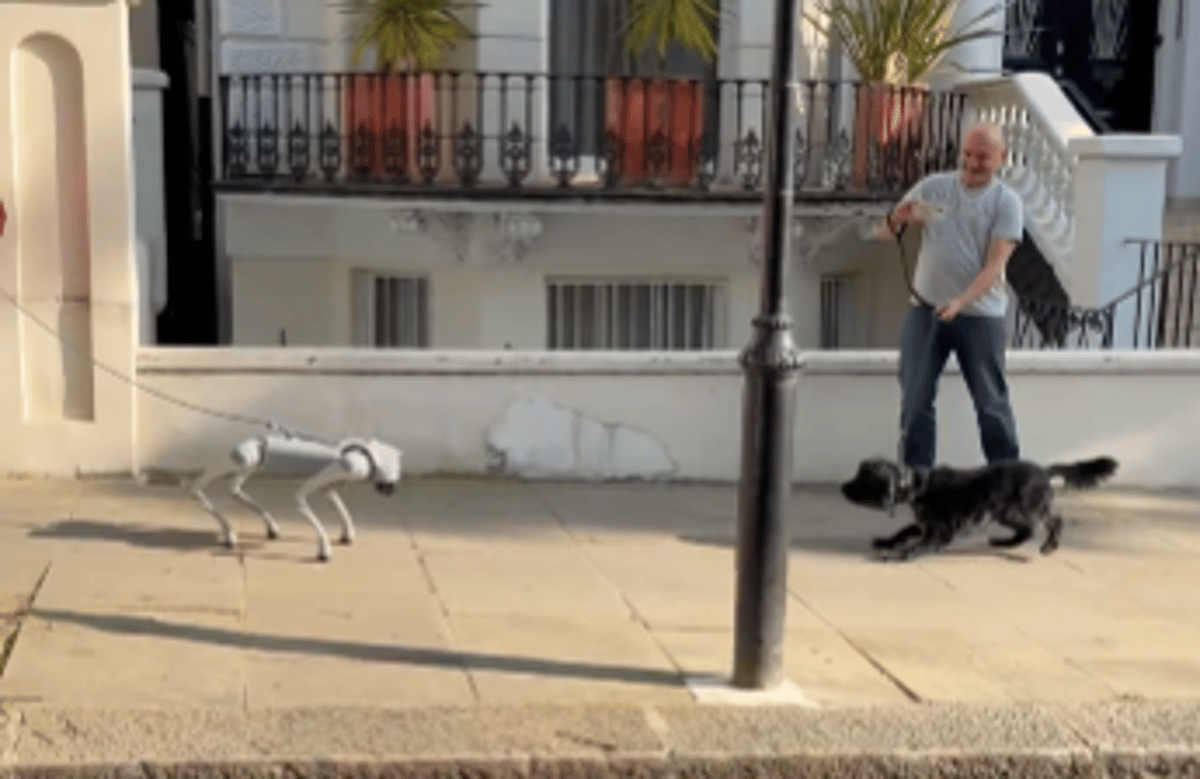 Moment real dog gets confused by AI robot pooch as they come face-to-face in Holland Park