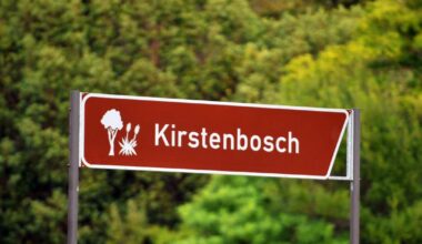 Following a recent Facebook post by James Deacon of the Indigenous Bulb Association of South Africa, a long-term volunteer at Kirstenbosch, allegations of mismanagement and institutional decline at the iconic garden have sparked outrage among South Africa’s horticultural community.