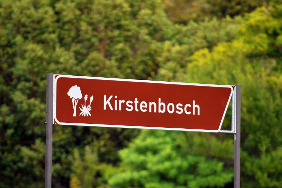 Following a recent Facebook post by James Deacon of the Indigenous Bulb Association of South Africa, a long-term volunteer at Kirstenbosch, allegations of mismanagement and institutional decline at the iconic garden have sparked outrage among South Africa’s horticultural community.