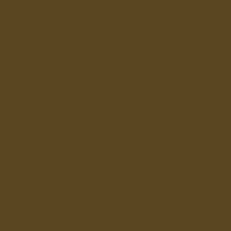brown-green paint swatch