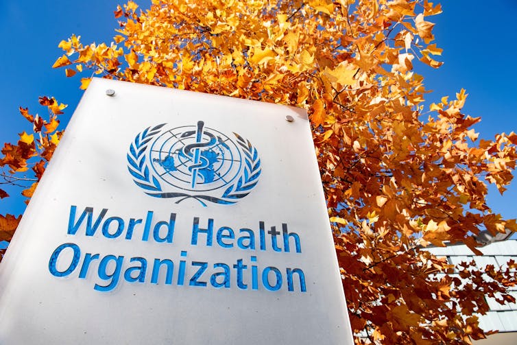 WHO logo