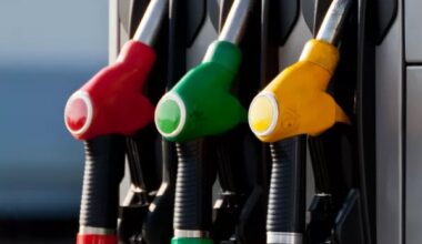 Bank of Mozambique says some fuel retailers lack capacity to import fuel
