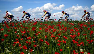 A general view of the peloton passing through flowery landscape during the 109th Giro d'Italia