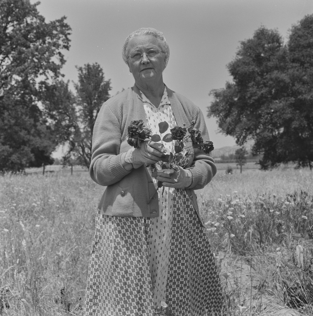 An elderly woman in a cardigan and patterned dress stands in a wildflower field, holding a small bunch of roses and looking directly at the camera.