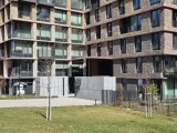 Daylight comparison, main camera (2x): Galaxy S26+ - 46mm, f/1.8, ISO 16, 1/736s (4000x3000px) - Samsung Galaxy S26 Plus vs. Galaxy S25 Plus