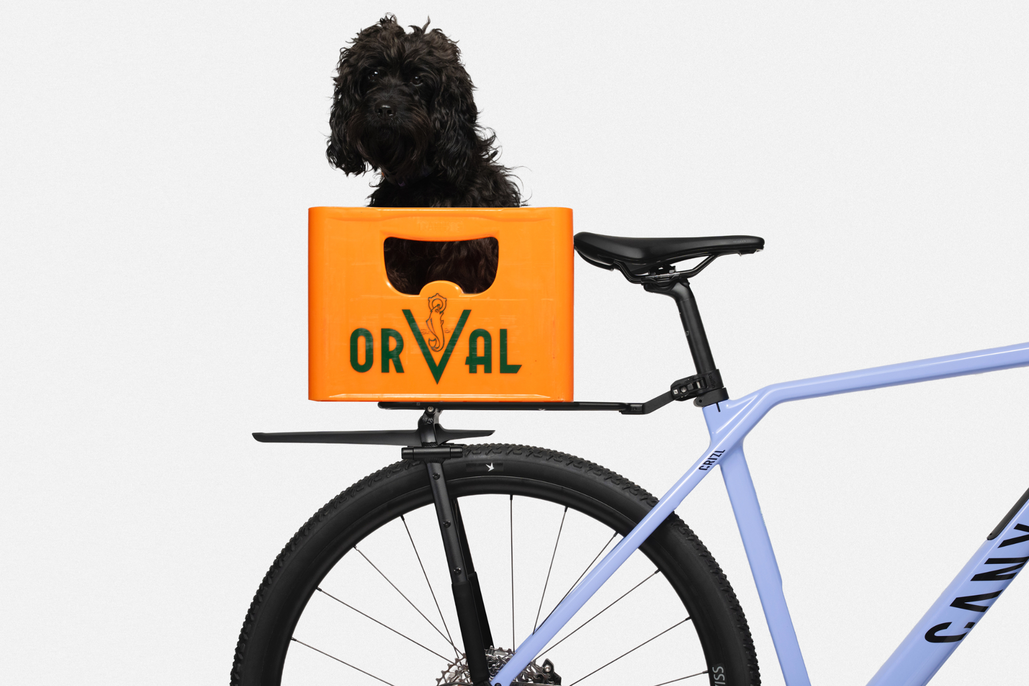 Tailfin Journey Rack