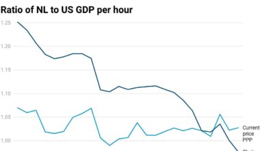 Europe Versus America: A Response to the Critics