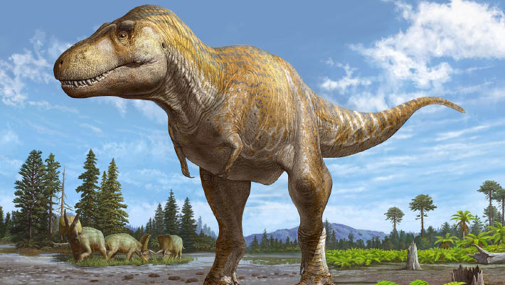 Mystery of Tyrannosaurus rex’s Tiny Arms May Finally Have an Answer