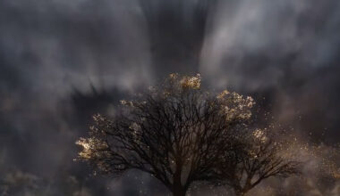 Jackson May Get To Adapt Tolkien's "Silmarillion"