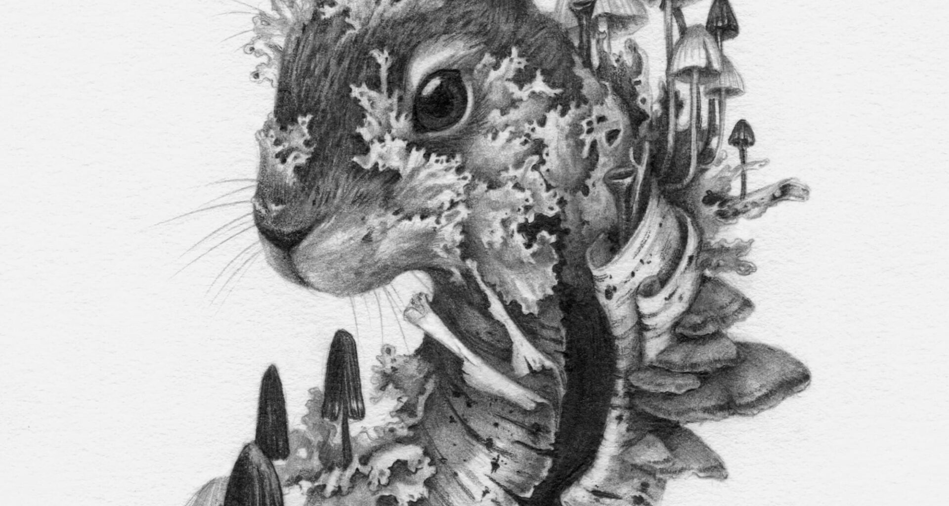 a drawing by Christina Mrozik of a rabbit enveloped in mushrooms