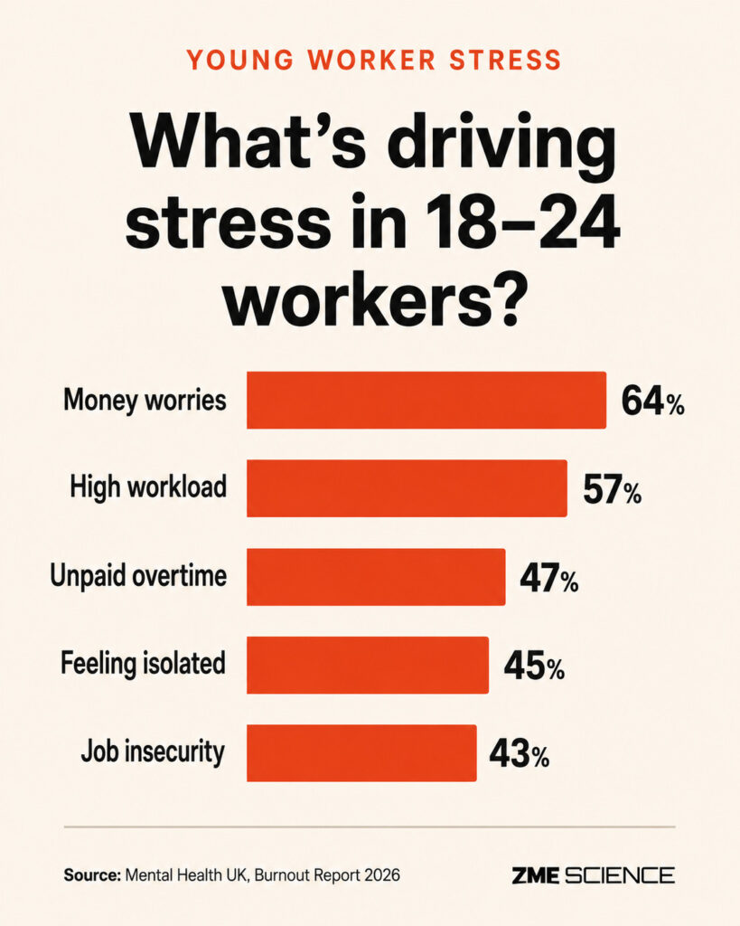 Infographic indicating the major contributors to stress in young workers age 18-24
