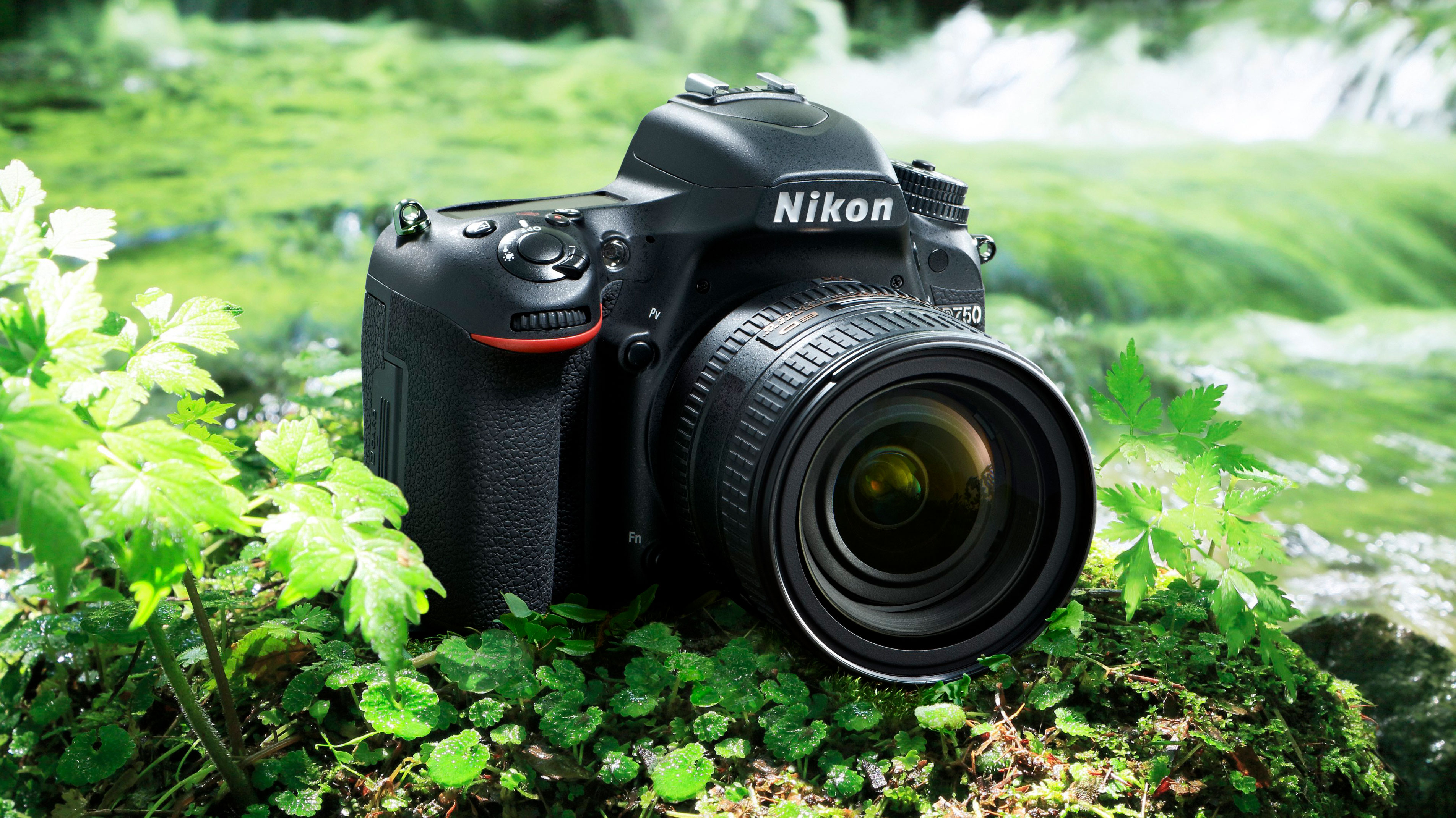 The Nikon D750