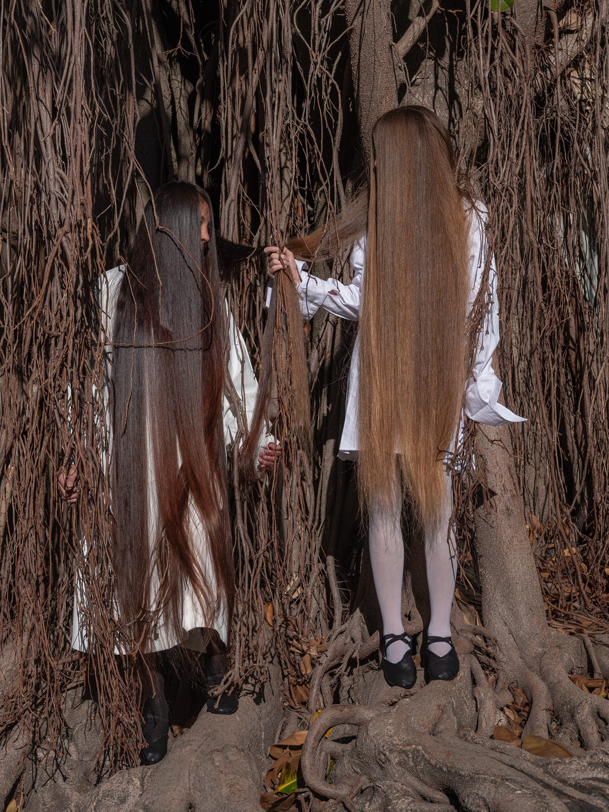 Two young women with very long hair stand amid trees and vines that are a similar color to their hair