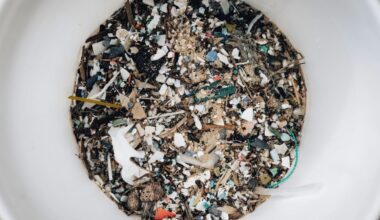 Microplastics and Men’s Sexual Health