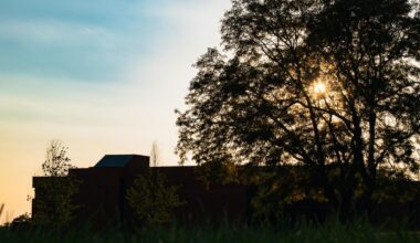 Exploring Historical Complexities of U.S. Mental Health Care