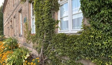 Building a Better Asylum | Psychology Today United Kingdom