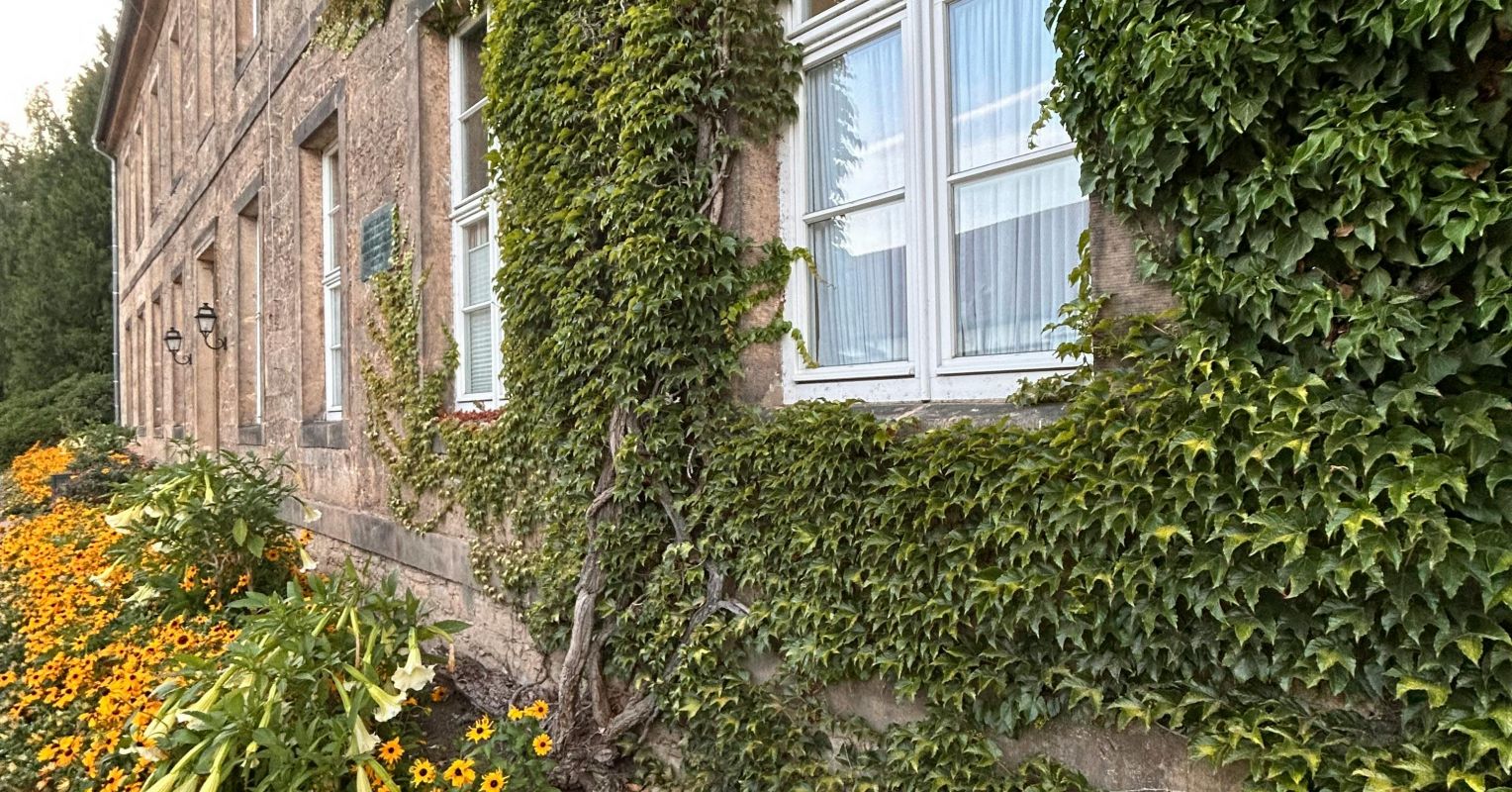 Building a Better Asylum | Psychology Today United Kingdom