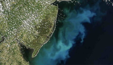 satellite imagery