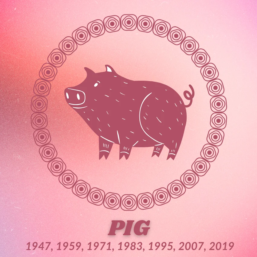 pig chinese zodiac signs luck prosperity may 27 2026