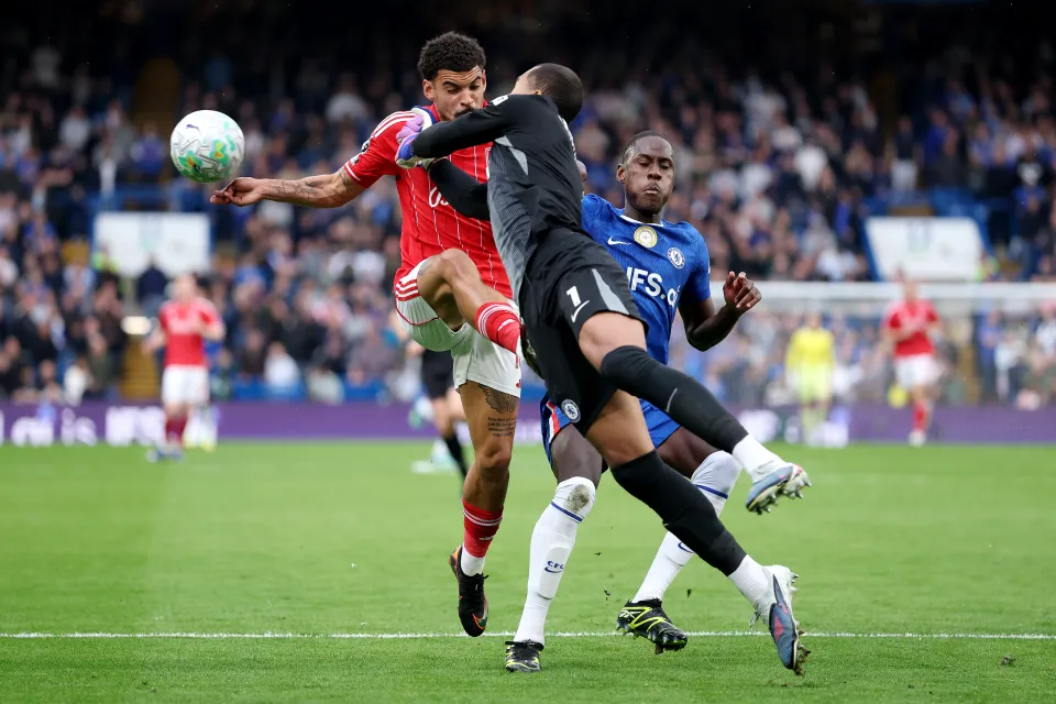 Morgan Gibbs-White collides with Robert Sanchez
