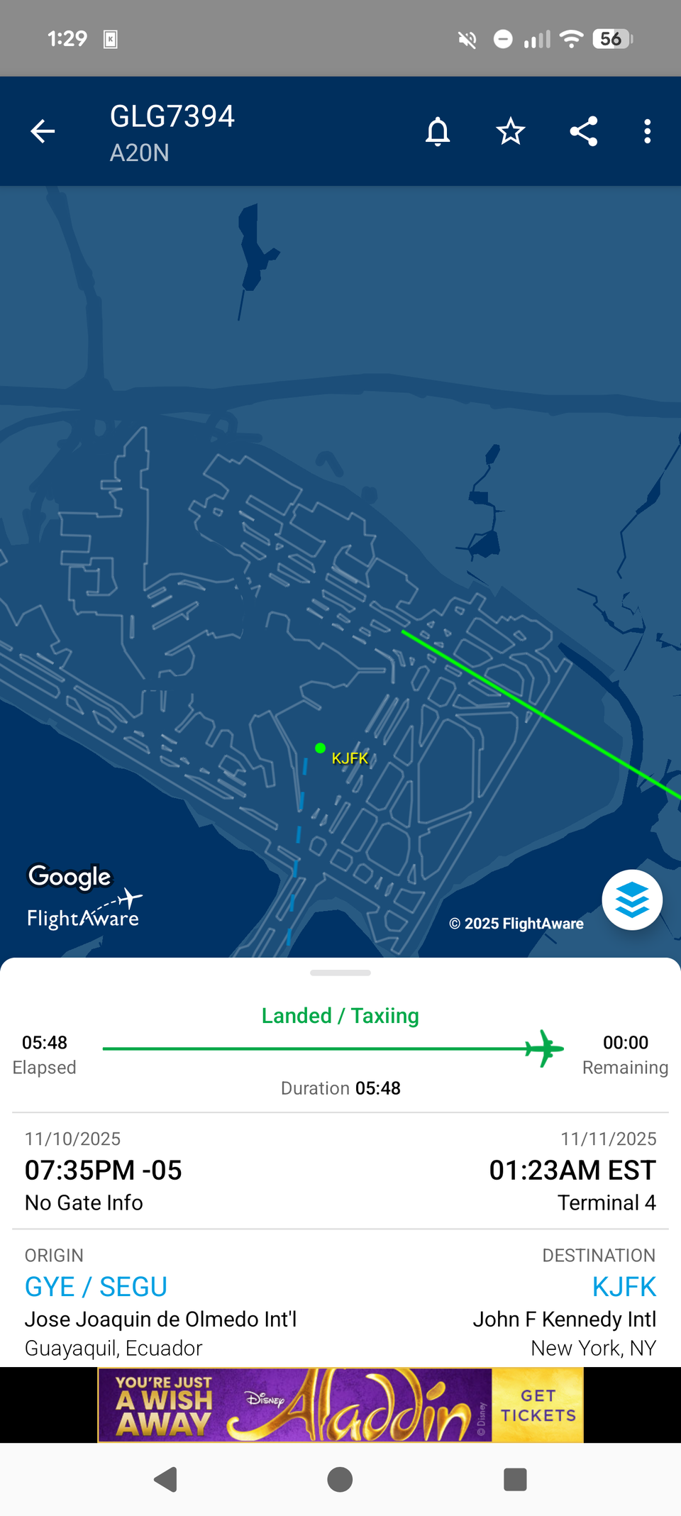 An app tracking a flight's progress.