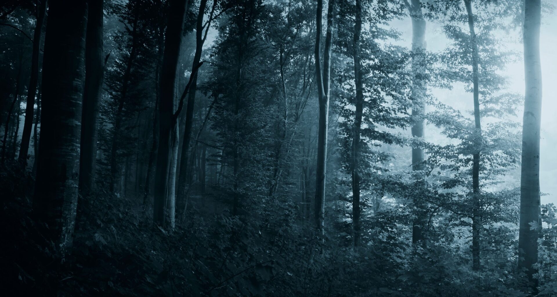 Ghostly girl sculptures haunt the woods at Jupiter Artland