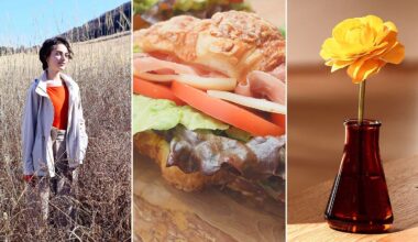A collage with three panels: a person standing in tall dry grass outdoors, a close-up of a sandwich with lettuce, tomato, and ham on a croissant, and a single yellow flower in a brown glass vase on a wooden table.