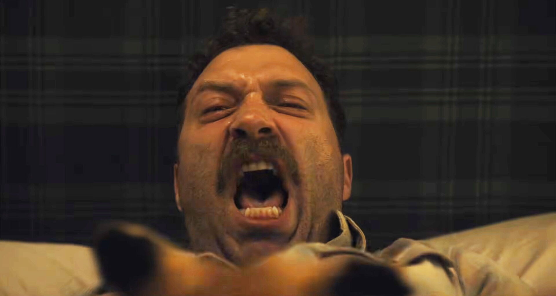 First Look Teaser for 'The Fox' Zany Romance Satire with Jai Courntey