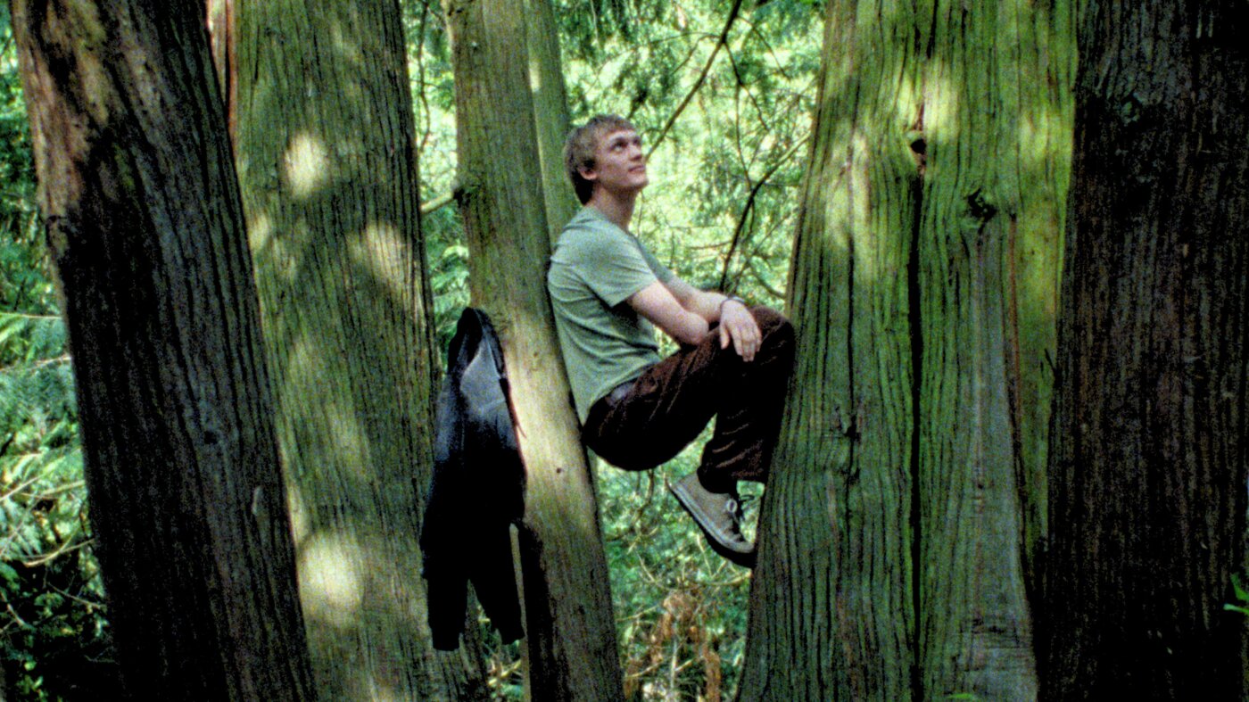 This film will change the way you see the trees : NPR