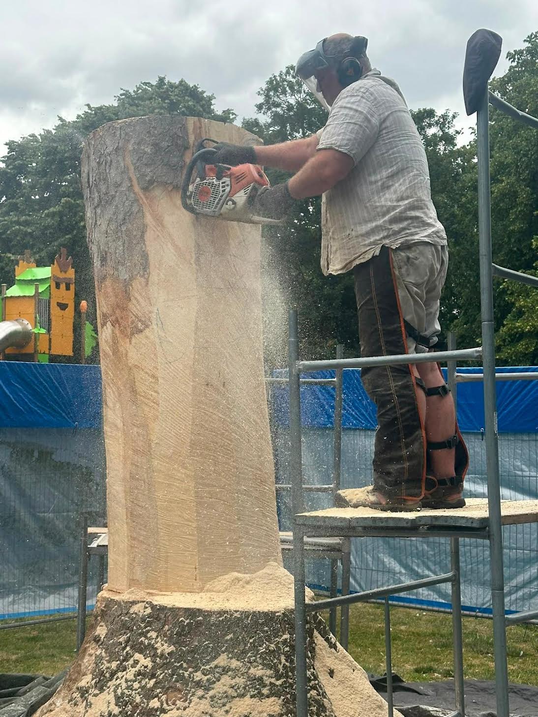 Tree trunks to be transformed into wildlife sculptures in Bridgford Park 0 3 6