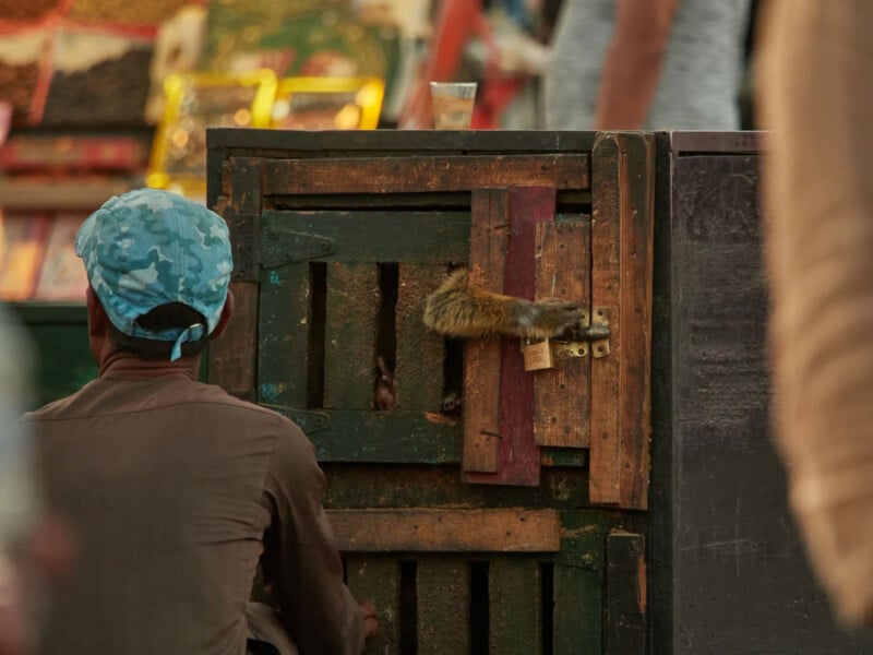 A person in a blue cap sits near a wooden crate, from which a monkey's arm reaches out through an opening, trying to touch a padlock. The background is blurred with colorful objects.