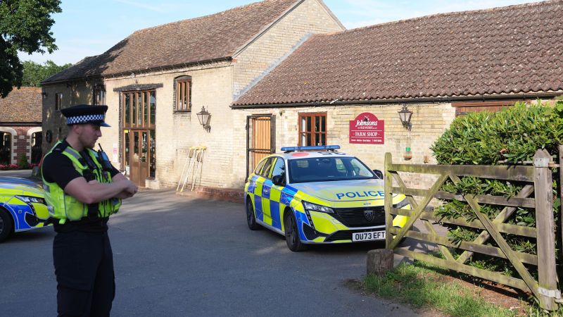 Man arrested in UK after toddler ends up in zoo crocodile enclosure
