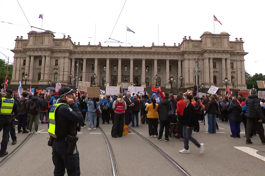 A large group of people holding signs in the air stand on a city road in front of a sandstone building with columns and flags.