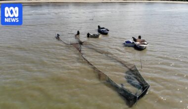 Recreational anglers demand end to tunnel-net trials in north Queensland
