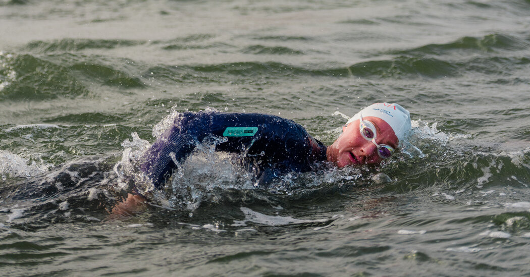 She’s Set to Swim the Entire 900-Mile California Coast — Sharks Permitting